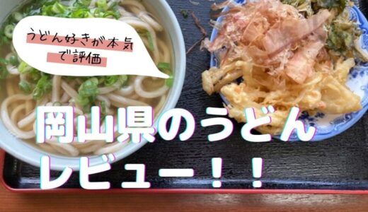 【レビュー】絶対に食べたい、岡山県の絶品うどん店！